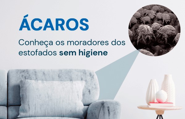 ácaros: conheça os moradores dos seus estofados